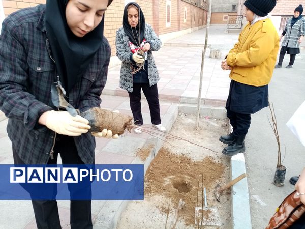 زینت بخشی مدارس شهرستان قدس با کاشت نهال های جوان