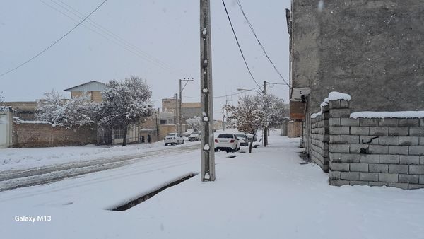 عروس فصل‌ها باری دیگر مهمان شهرستان بن