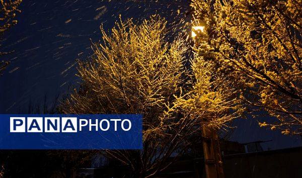 رحمت الهی برف بهاری بر دیار سلسله الذهب