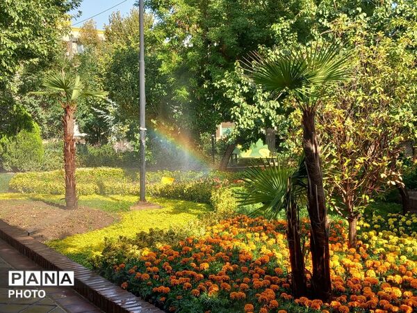 طبیعت زیبای همدان در قاب دوربین