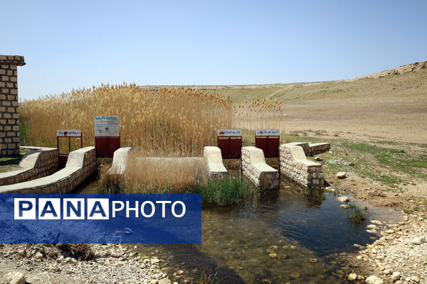 تور رسانه‌ای بازدید از تالاب‌های حوضه آبریز دریاچه ارومیه