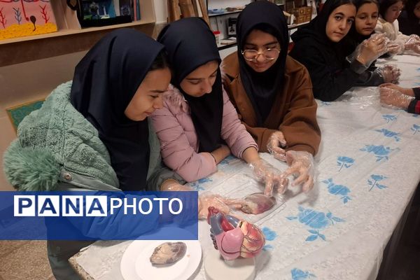 کارگاه تشریح قلب برای دانش آموزان فرزانگان شهرستان ملارد