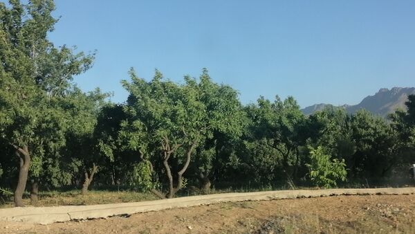 گردش یک روزه در شهر زیبای سامان