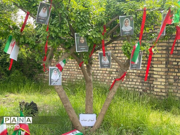 پویش ملی کاشت نهال امید در شهرستان رامیان