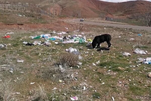 پاکسازی طبیعت در روز طبیعت