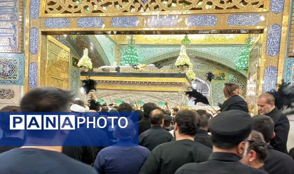 حال و هوای حرم مطهر رضوی در روز شهادت امام رضا(ع)