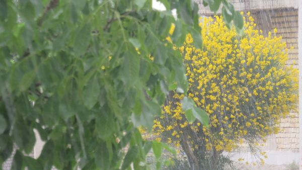 غافلگیری شهر بن از طرف آسمان