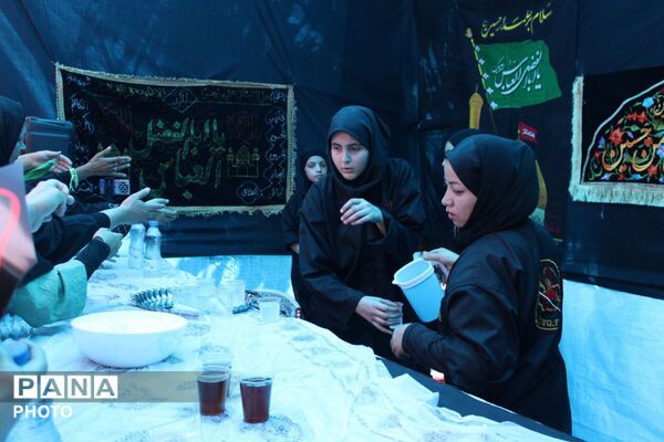 حضور پر رنگ کودکان و نوجوانان حسینی در راهپیمایی جاماندگان اربعین
