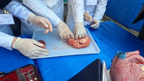 گرامیداشت روز آزمایشگاه با حضور دانش‌آموزان مقام آور دبیرستان فرزانگان ۴(قدسیه علوی)