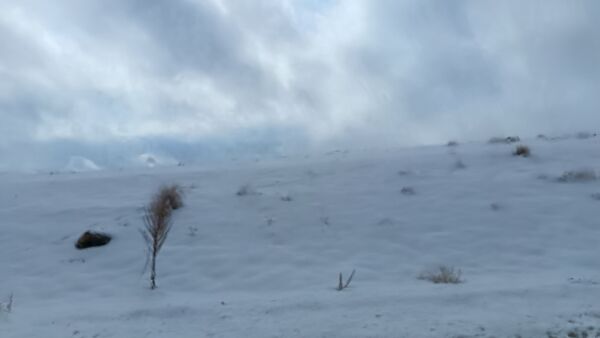 بارش برف زمستانی در روستای برزنون شهرستان نیشابور