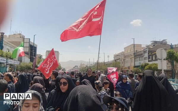 از کربلا تا خراسان؛ تپشِ یک دل در دو حرم
