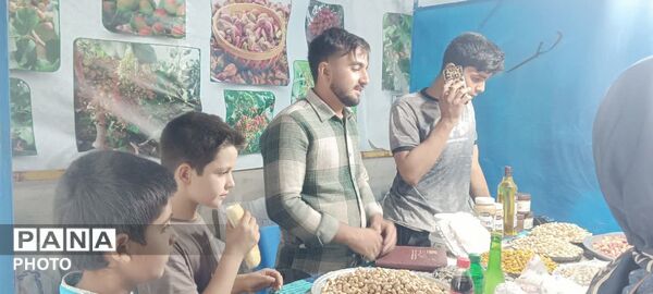 نمایشگاه پسته و محصولات غذایی در شهر احمدآباد اردکان