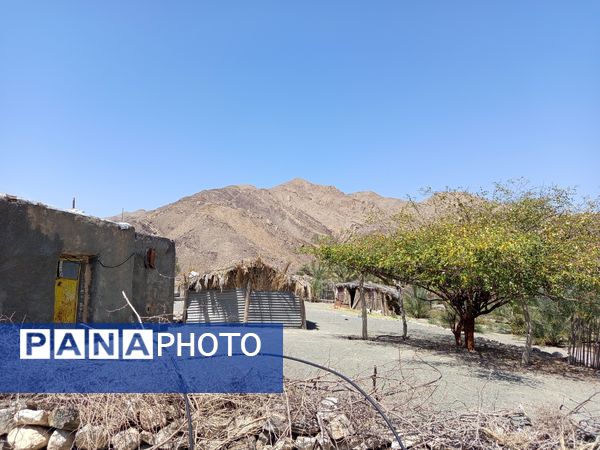 روز طبیعت در خانه‌ای کوچک و دلنشین بی‌‌بی گل و آقا جان