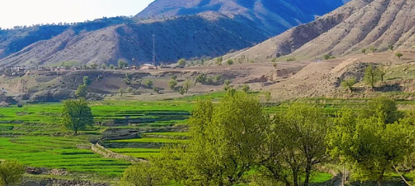 طبیعت بهاری، فرصتی برای سرزندگی روح 