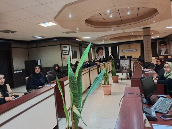  کارگاه بهداشت سلامت روانی خانواده و فرزند پروری در میاندورود 