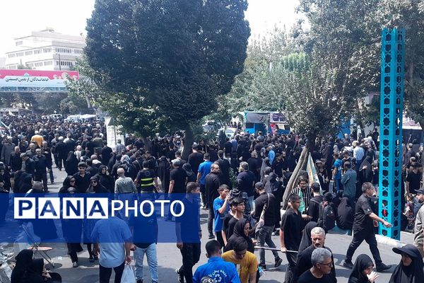 از کربلا تا ری