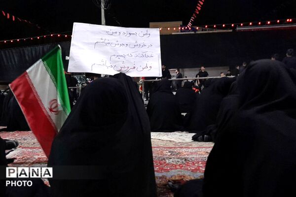 از کربلا تا ایران؛ عزاداران حسینی با پرچم ایران، پیام وحدت و استقامت را فریاد زدند