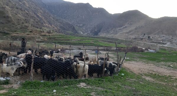 گذری بر روستای «بیدله» در لردگان