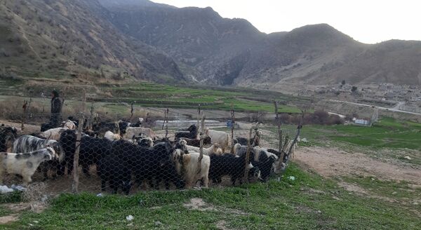 گذری بر روستای «بیدله» در لردگان