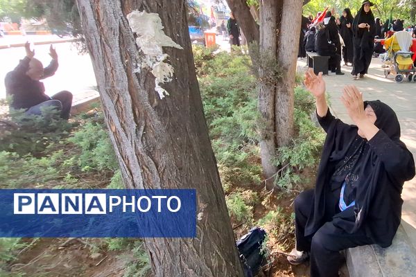 مراسم راهپیمایی جاماندگان اربعین حسینی در شیراز