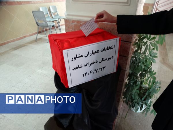 انتخابات همیار مشاور 