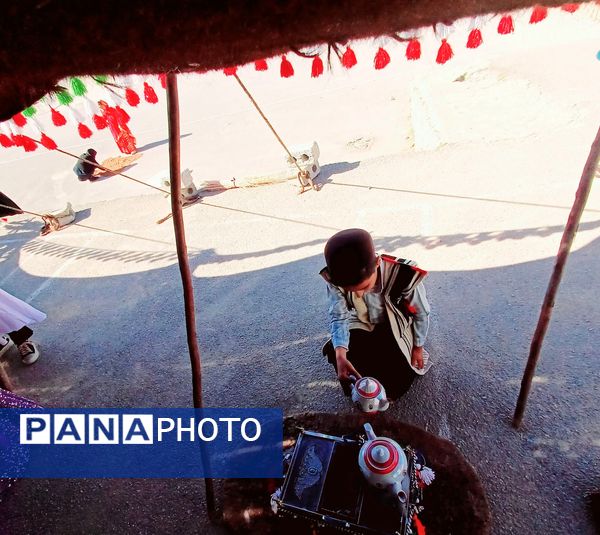 شگفتی‌های زیبایِ شکفتن و سبز شدن 