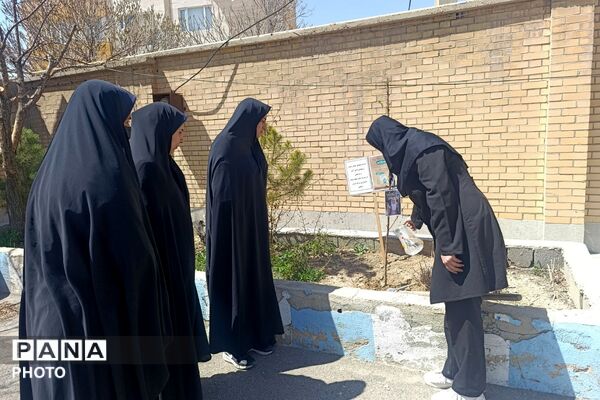 یادِ سبزِ شجره طیبه، در دلمان شکوفا شد