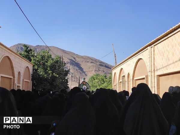 نخل‌برداری روز عاشورا در روستای صالح آباد شهرستان تفت