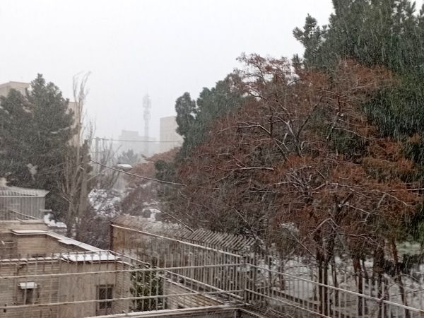 روزهای برفی تبریز از پشت پنجره