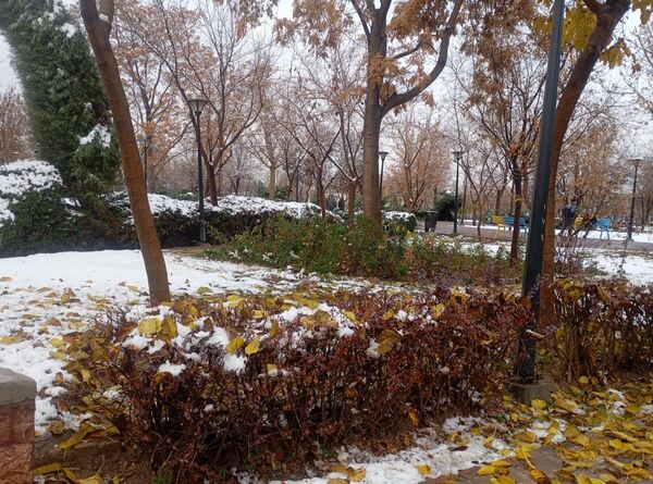 بارش برف در شهر زیبای مشهد 