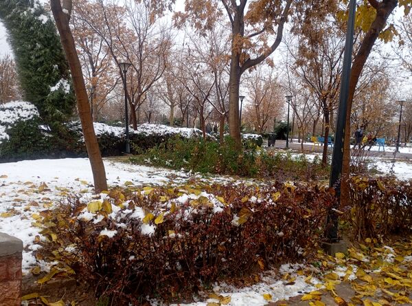 بارش برف در شهر زیبای مشهد 