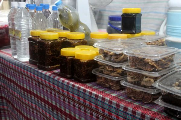 شُکرانه انجیر در گلوگاه 