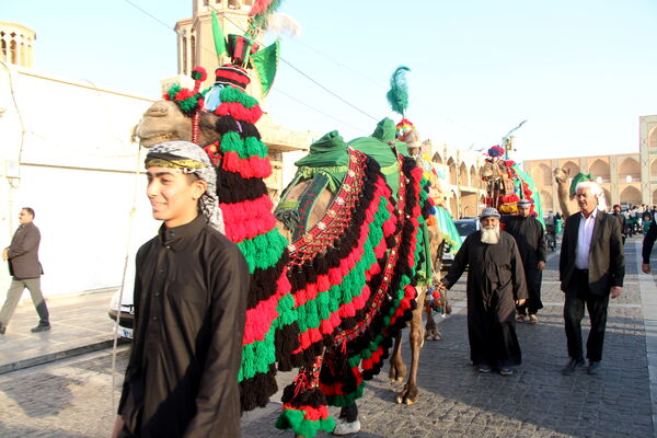 کاروان نمادین حضور امام رضا (ع) در یزد