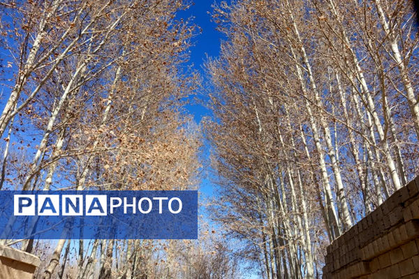 خزان زیبا در کوچه باغ‌های شهر بهمن