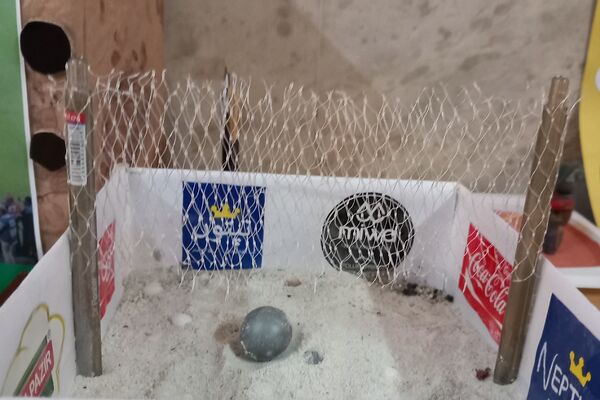 مراسم هفته تربیت‌بدنی در دبیرستان حکمت بهارستان‌۲ 