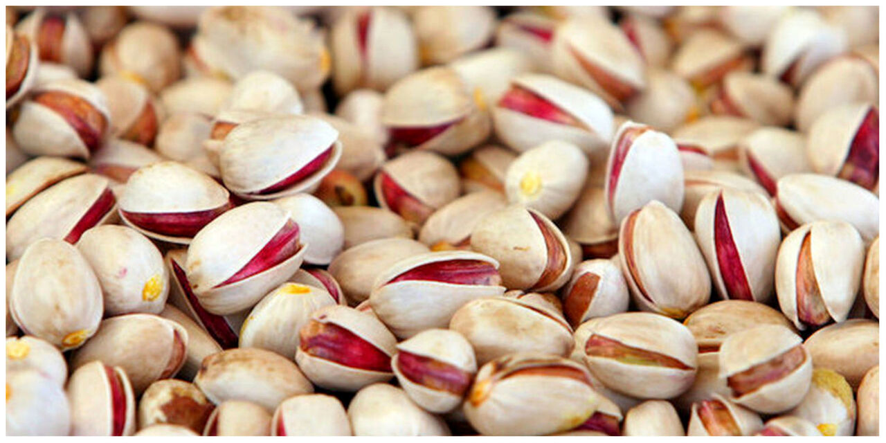 اتحادیه اروپا مقصد ۵ درصد از کل محموله پسته صادراتی ایران

