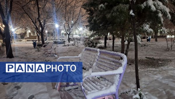 پارک‌های شهر مشهد در آغوش برف