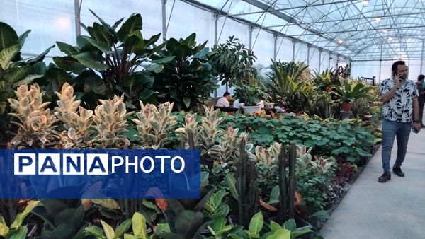 جشنواره گل‌و‌گیاه در محلات