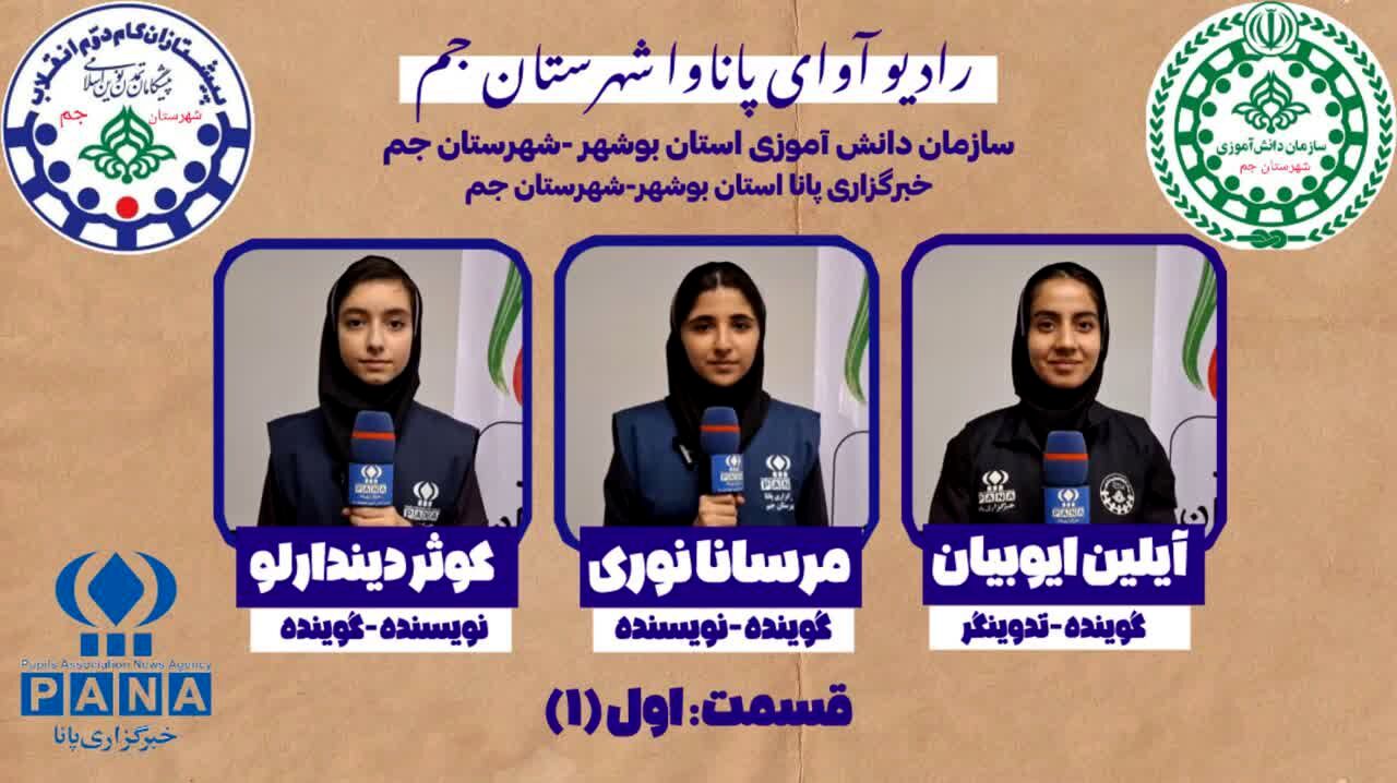 پاناوا آوای خبرگزاری پانا افتتاح شد