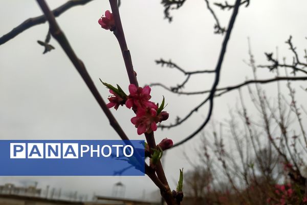 میانکوه سال ۱۴۰۴ خود را متفاوت شروع کرد