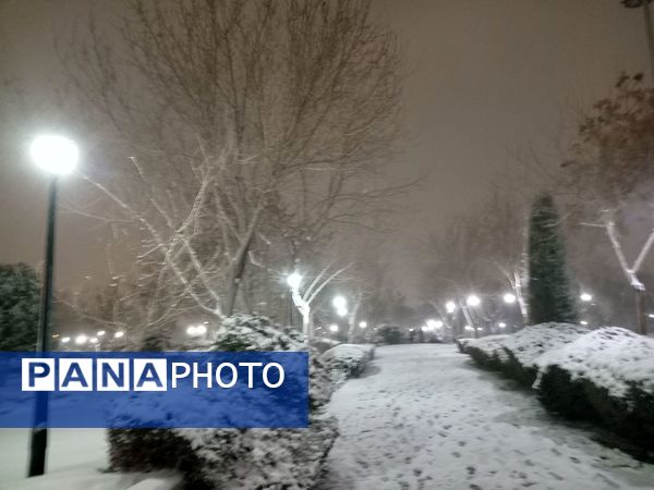 بارش برف در شهر مشهد 