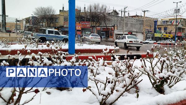 لردگان میزبان اولین برف زمستانی 