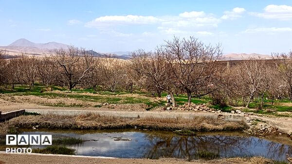 رویش شکوفه های امید در فصل بهار روستای برزنون 