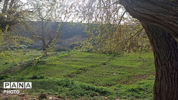 بهار در دامان طبیعت کاشمر؛ تصاویری دیدنی از کوه ها، شکوفه‌ها و سبزی فروردین