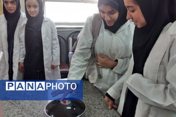 یازدهمین همایش «آشتی با علم» در پژوهش‌سرای کاوش کهریزک