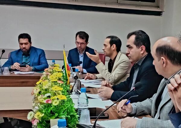 برگزاری جلسه کارگروه تسهیل استان  