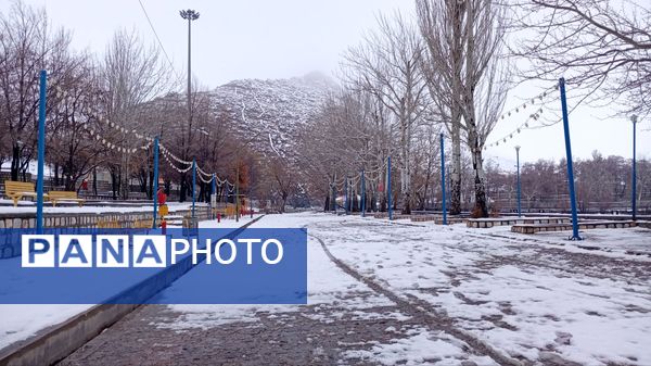 گرداب بن زیر چتر سپید برف