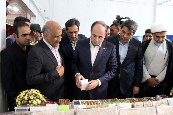از شنیدن صدای کشاورزان «طرز» تا بازدید از زنجیره ارزش خرمای شرق کرمان