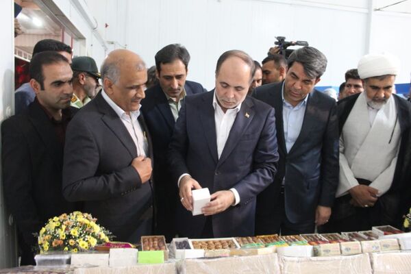 از شنیدن صدای کشاورزان «طرز» تا بازدید از زنجیره ارزش خرمای شرق کرمان