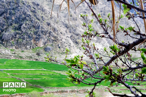 طبیعت روستای بیدله به هنگام بهار